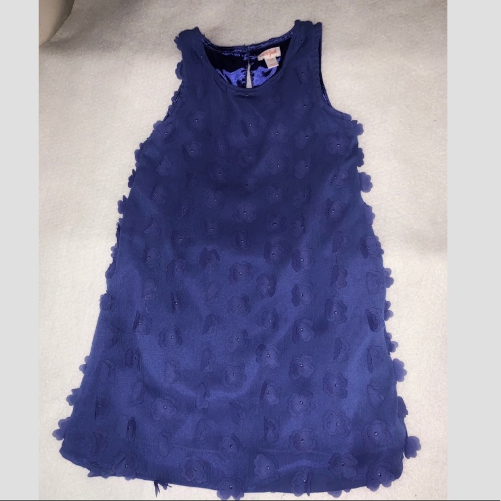 Stunning Girls Blue Flowered Dress